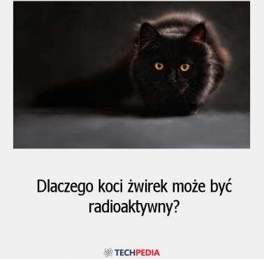 Dlaczego koci żwirek może być radioaktywny?