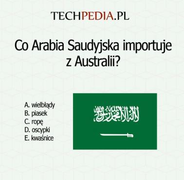 Co Arabia Saudyjska importuje z Australii?