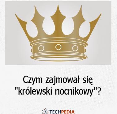 Czym zajmował się “królewski nocnikowy”?