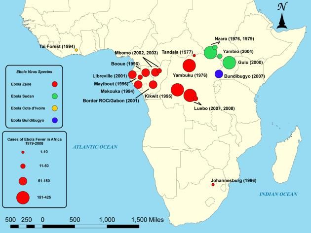 Epidemie gorączki krwotocznej Ebola w Afryce w latach 1979–2008.