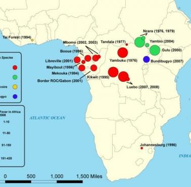 Epidemie gorączki krwotocznej Ebola w Afryce w latach 1979–2008.