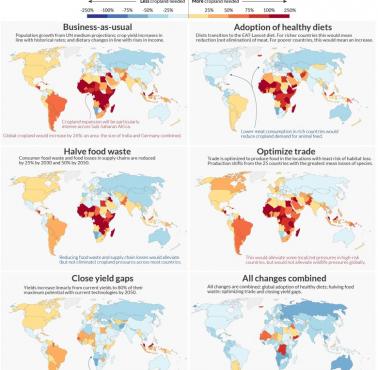 Kilka opcji minimalizacji negatywnego wpływu na nasze środowisko w przypadku upraw, 2050