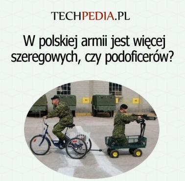 W polskiej armii jest więcej szeregowych czy podoficerów?