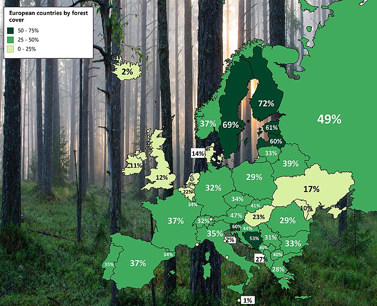 Pokrywa leśna w Europie