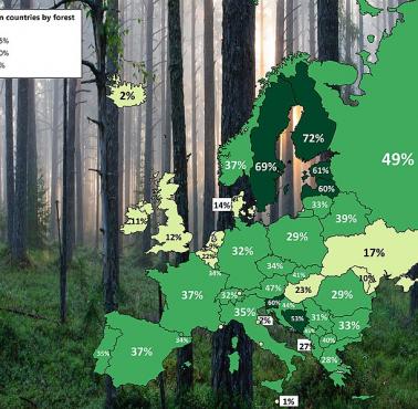 Pokrywa leśna w Europie