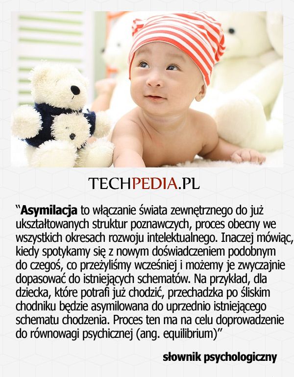 Asymilacja to włączanie świata zewnętrznego do już ukształtowanych struktur poznawczych, proces obecny we wszystkich ....