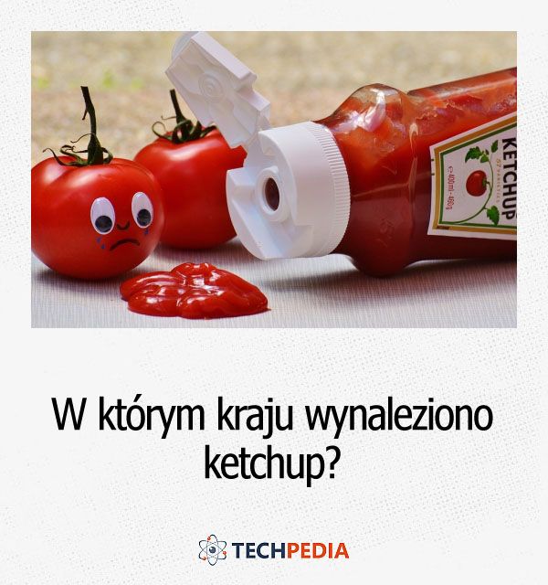 W którym kraju wynaleziono ketchup?