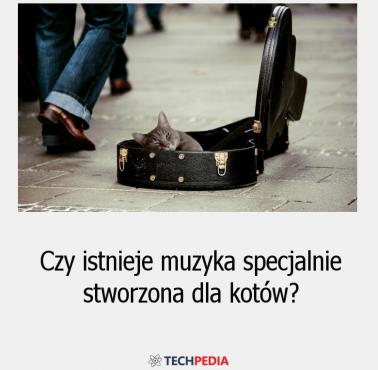 Czy istnieje muzyka specjalnie stworzona dla kotów?