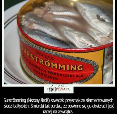 Surströmming (kiszony śledź) szwedzki przysmak ze sfermentowanych  śledzi bałtyckich. Śmierdzi tak bardzo, że powinno się go ...