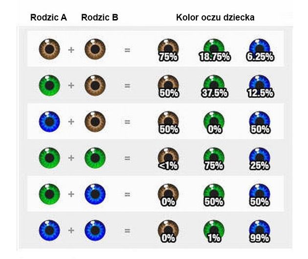 Jaki kolor oczu będą miały Wasze dzieci?