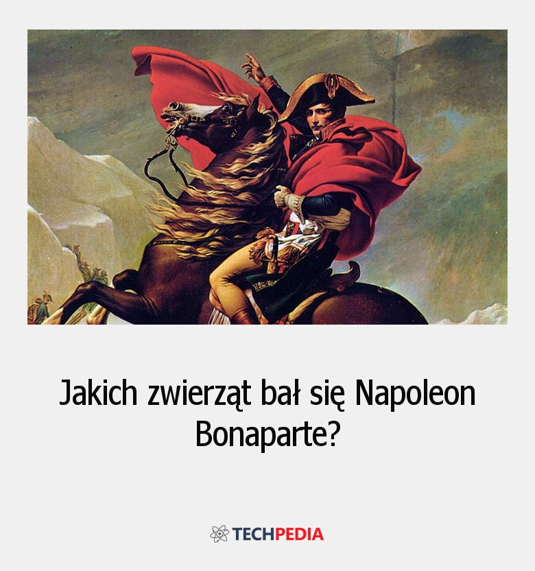 Jakich zwierząt bał się Napoleon Bonaparte?