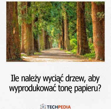 Ile należy wyciąć drzew aby wyprodukować tonę papieru?
