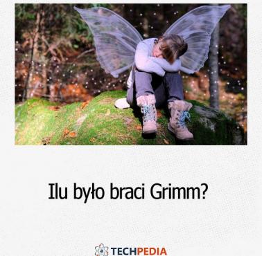 Ilu było braci Grimm?