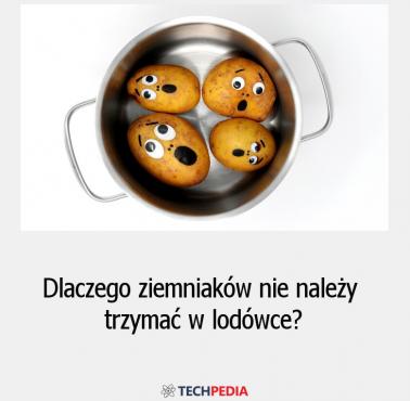 Dlaczego ziemniaków nie należy trzymać w lodówce?