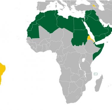 Liga Państw Arabskich, na żółto państwa obserwatorzy