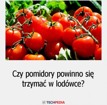 Czy pomidory powinno się trzymać w lodówce?