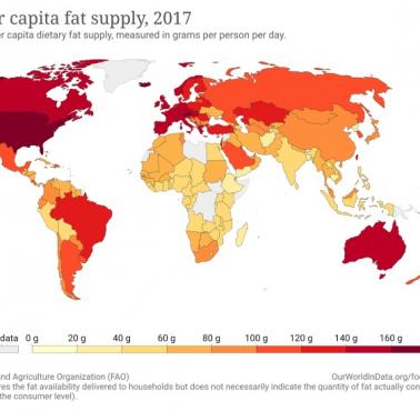 Dzienne spożycie tłuszczu na mieszkańca, 2017