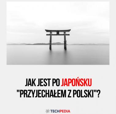 Jak jest po japońsku "przyjechałem z Polski"?