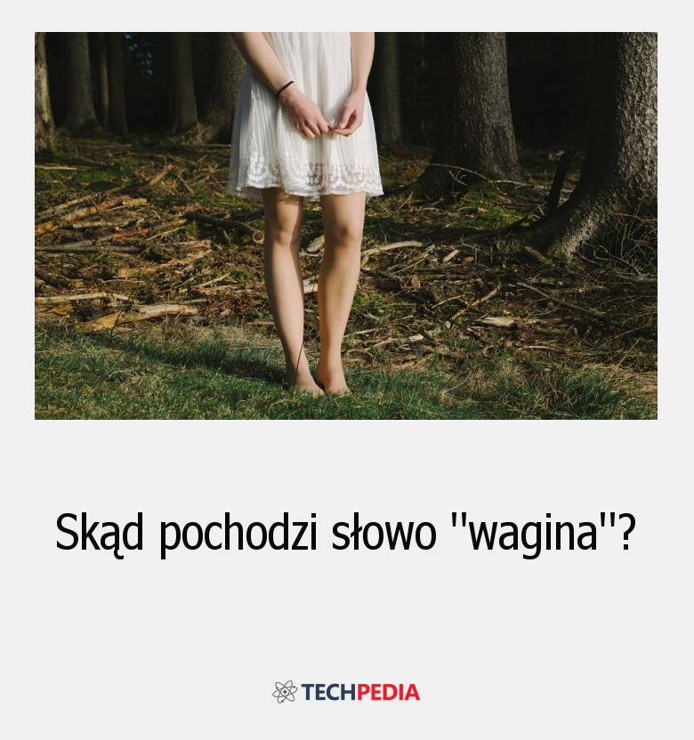 Skąd pochodzi słowo wagina?