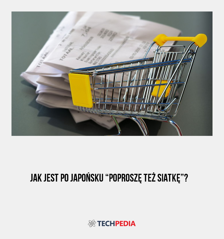 Jak jest po japońsku “poproszę też siatkę”?