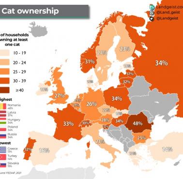 Posiadacze kotów w Europie