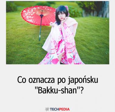 Co oznacza po japońsku “Bakku-shan”?