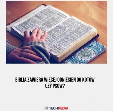 Biblia zawiera więcej odniesień do kotów czy psów?