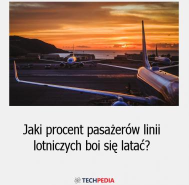 Jaki procent pasażerów linii lotniczych boi się latać?