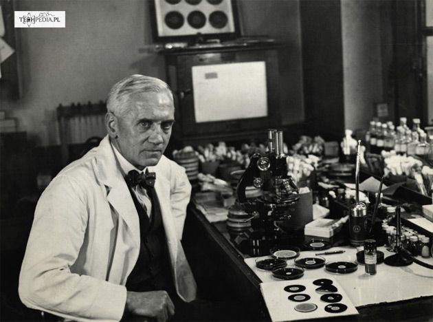 Odkrywca penicyliny Alexander Fleming w swoim laboratorium.