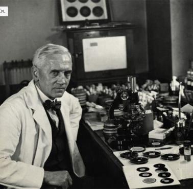 Odkrywca penicyliny Alexander Fleming w swoim laboratorium.