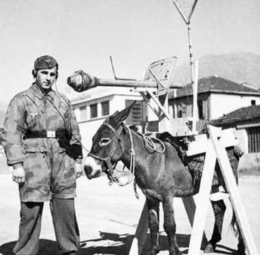 Panzerfaust zamontowany na ośle.