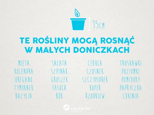 Które roślinki mogą rosnąć w małych doniczkach?