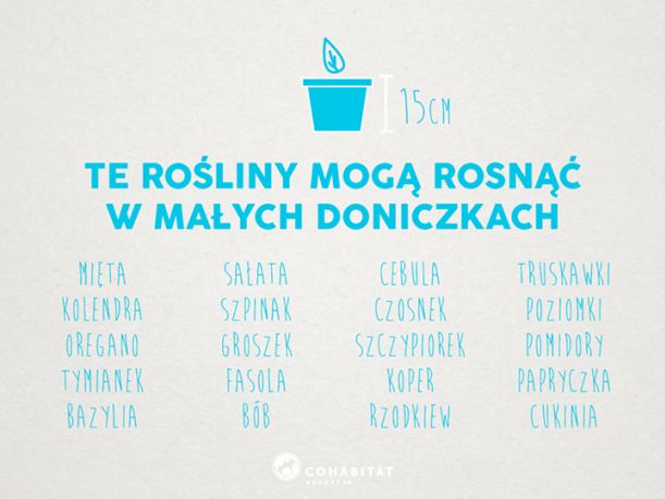 Które roślinki mogą rosnąć w małych doniczkach?