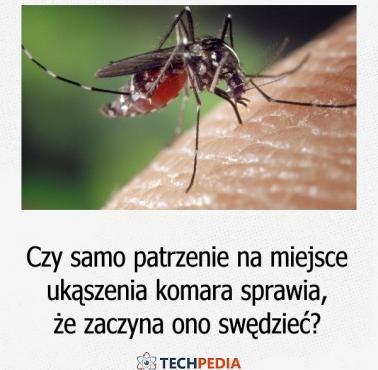 Czy samo patrzenie na miejsce ukąszenia komara sprawia, że zaczyna ono swędzieć?