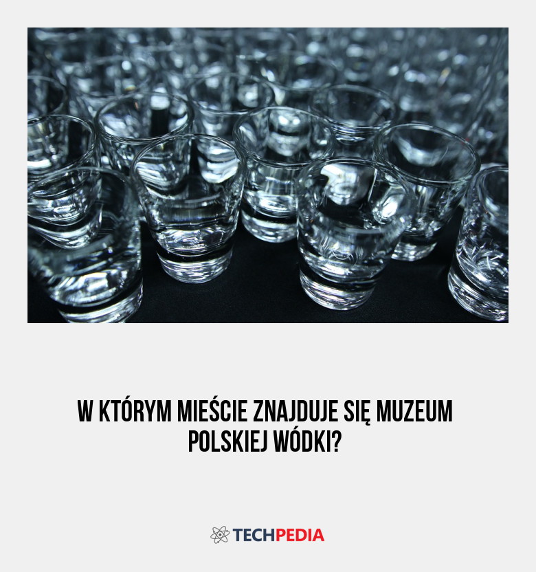 W którym mieście znajduje się Muzeum Polskiej Wódki?
