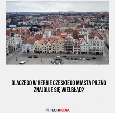 Dlaczego w herbie czeskiego miasta Pilzno znajduje się wielbłąd?
