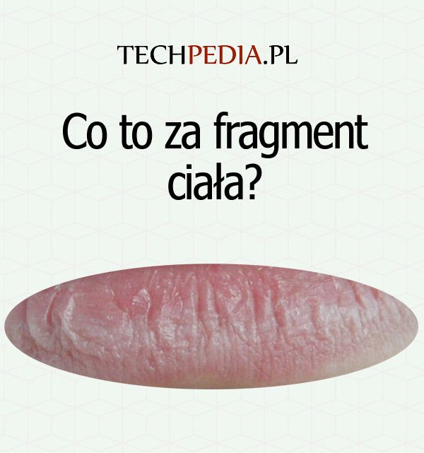 Co to za fragment ciała?