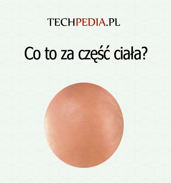 Co to za część ciała?