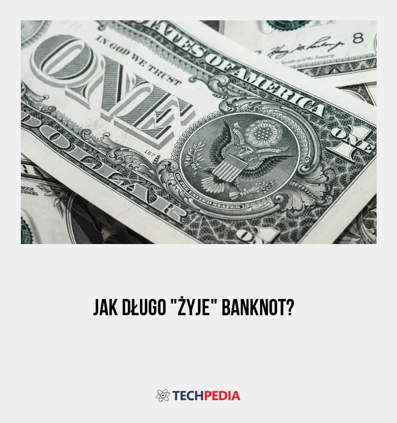 Jak długo żyje banknot?