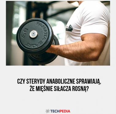 Czy sterydy anaboliczne sprawiają, że mięśnie siłacza rosną?