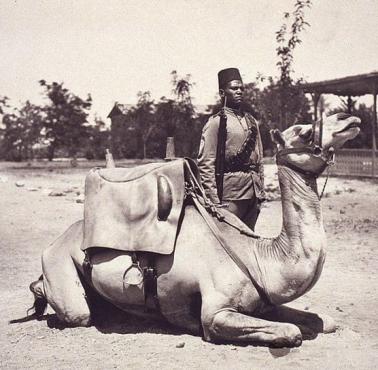 Lata 1900-20 - Sudan, czarnoskóry żołnierz w służbie brytyjskiej armii.