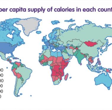 Mapa zużycia kalorii na osobę (dziennie)
