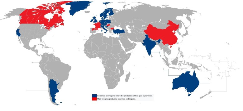 Mapa państw, gdzie legalne jest przekarmianie gęsi lub kaczek foie gras