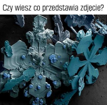 Co jest na zdjęciu?