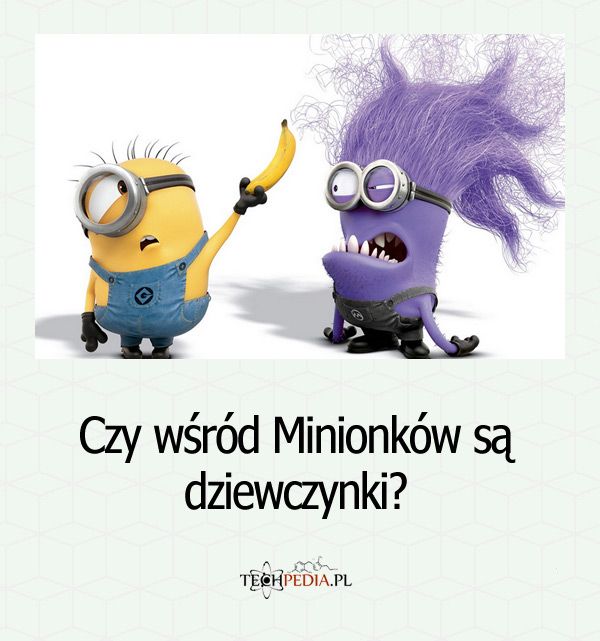 Czy wśród Minionków są dziewczynki?