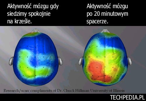 Aktywność mózgu przed i po wysiłku.