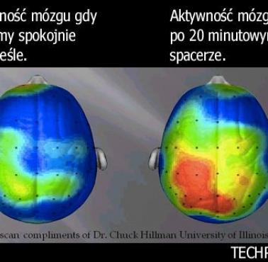 Aktywność mózgu przed i po wysiłku.