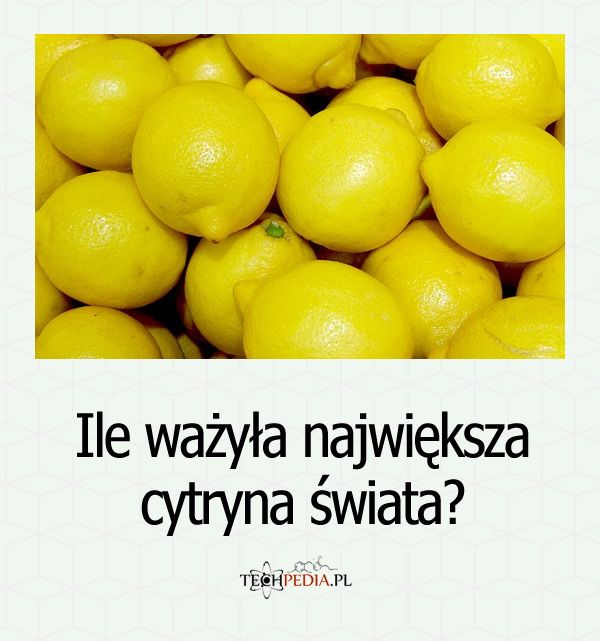 Ile ważyła największa cytryna świata?