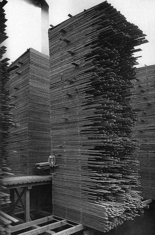 Stosy drewna (Cedar Mill, Seattle, USA)