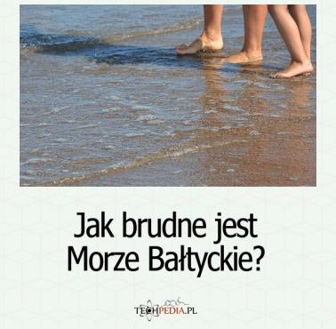 Jak brudne jest Morze Bałtyckie?